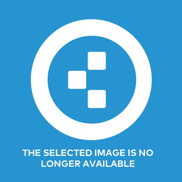 Best Friend Forever Nintendo Switch Screens and Art Gallery Cubed3